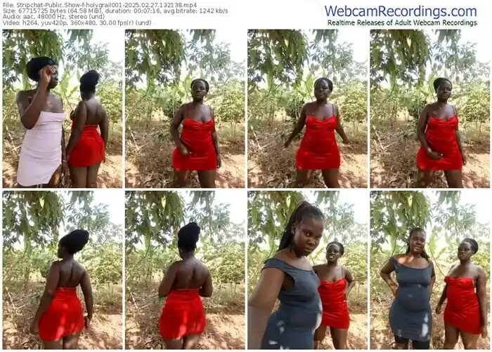 stripchat-holygrail001-02-27-2025-13-21-38