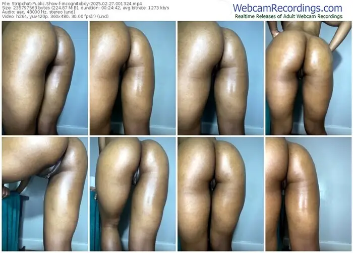 stripchat-incognitobdy-02-27-2025-00-13-24