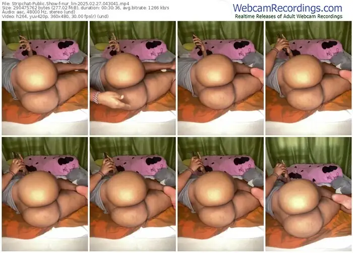 stripchat-nur_lin-02-27-2025-04-30-41