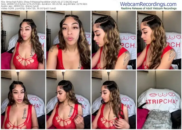 stripchat-thepeachwobbler-02-27-2025-19-42-42