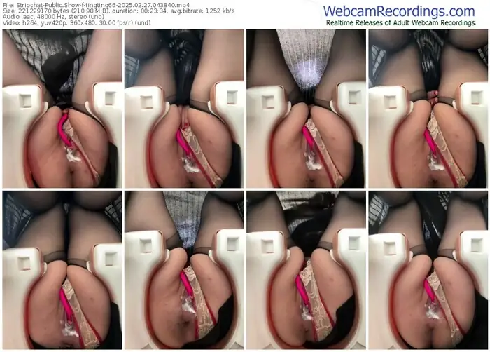 stripchat-tingting66-02-27-2025-04-38-40