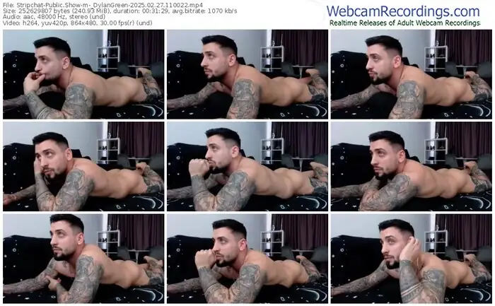 stripchat-_dylangreen-02-27-2025-11-00-22