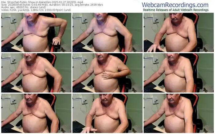stripchat-barenfan-02-27-2025-00-29-51