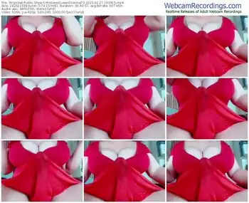 stripchat-mistressqueendominats-02-27-2025-19-34-15