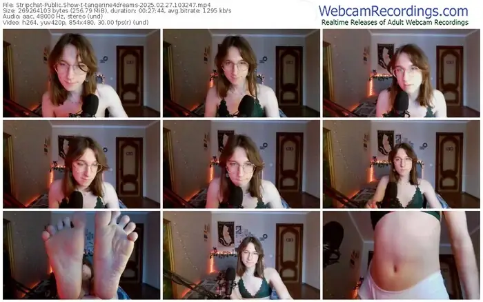 stripchat-tangerine4dreams-02-27-2025-10-32-47
