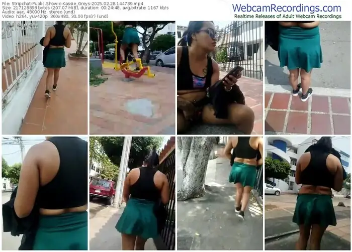 stripchat-kassie_greys-02-28-2025-14-47-39