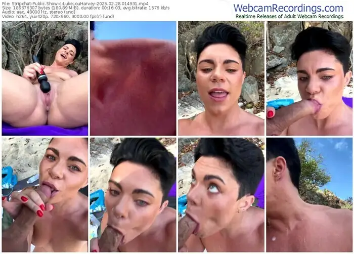 stripchat-lukelouharvey-02-28-2025-01-49-31