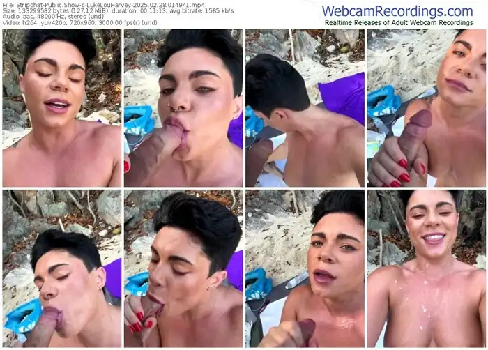 stripchat-lukelouharvey-02-28-2025-01-49-41
