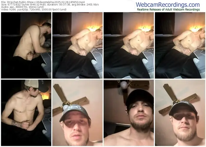 stripchat-midwestalpha-02-28-2025-18-59-50