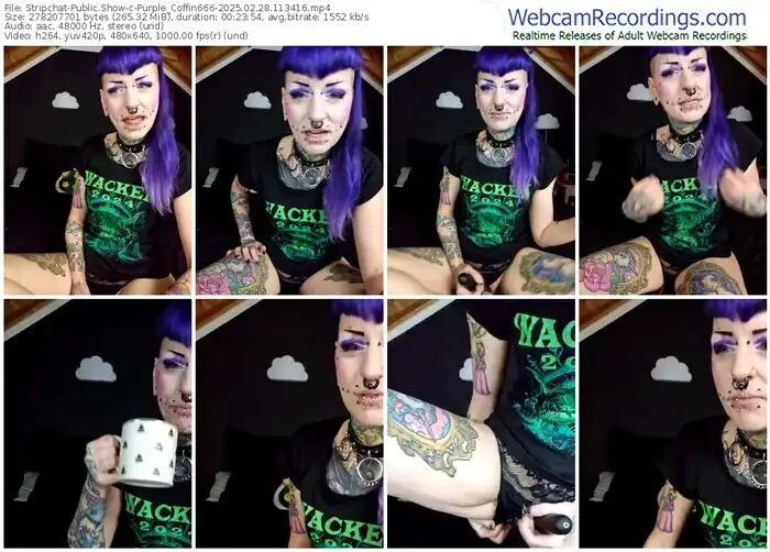 stripchat-purple_coffin666-02-28-2025-11-34-16