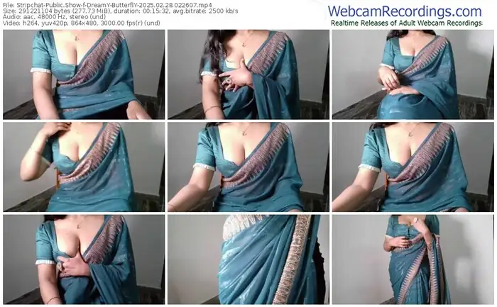 stripchat-dreamy-butterfly-02-28-2025-02-26-07