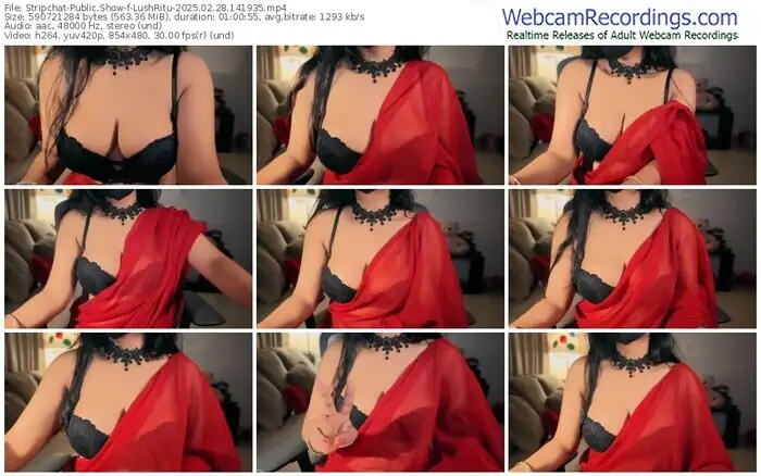 stripchat-lushritu-02-28-2025-14-19-35