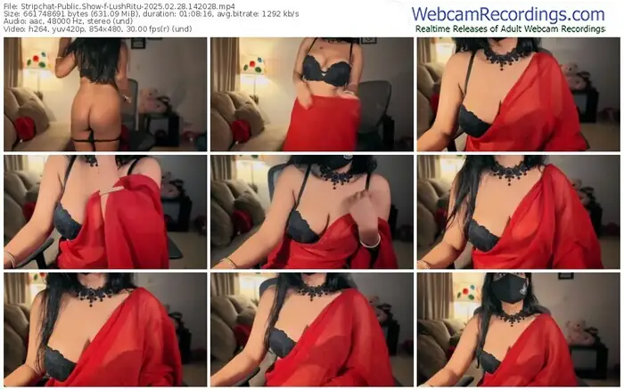 stripchat-lushritu-02-28-2025-14-20-28