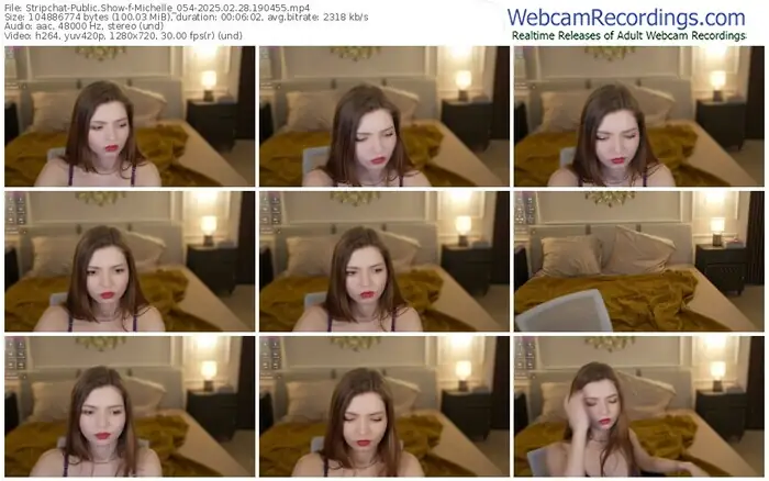 stripchat-michelle_054-02-28-2025-19-04-55