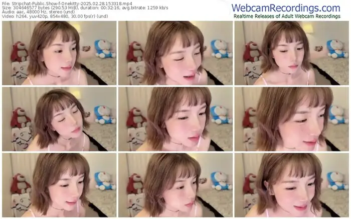 stripchat-onekitty-02-28-2025-15-33-18