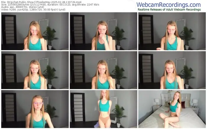 stripchat-phoebemay-02-28-2025-13-37-29