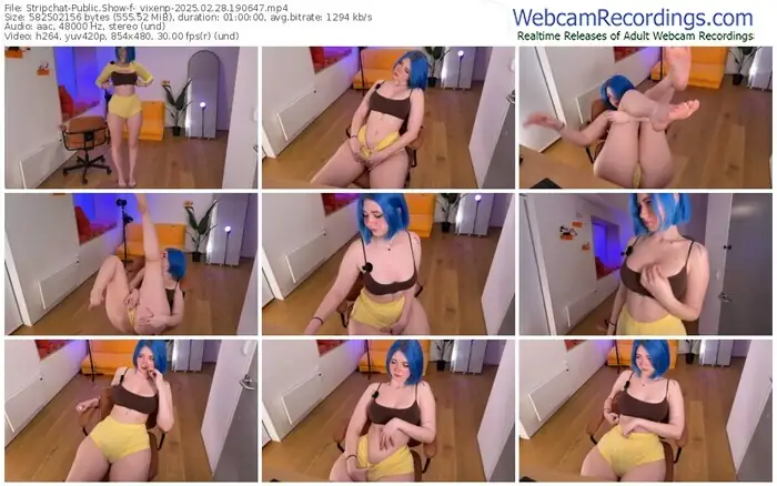 stripchat-_vixenp-02-28-2025-19-06-47