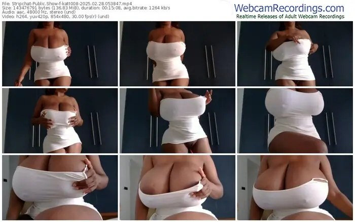 stripchat-katt008-02-28-2025-05-38-47