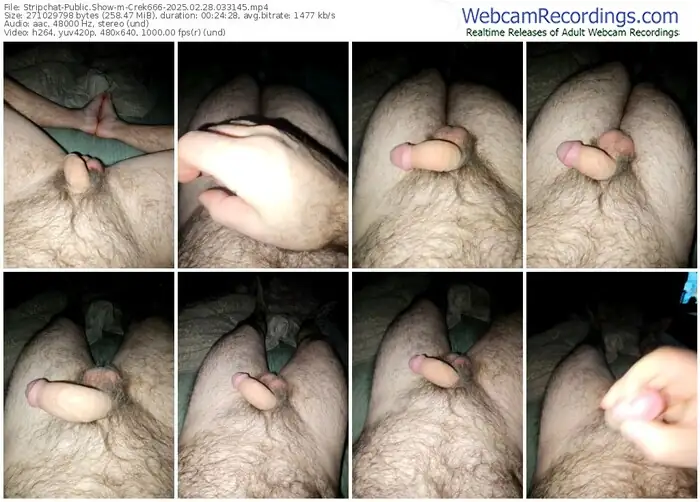 stripchat-crek666-02-28-2025-03-31-45