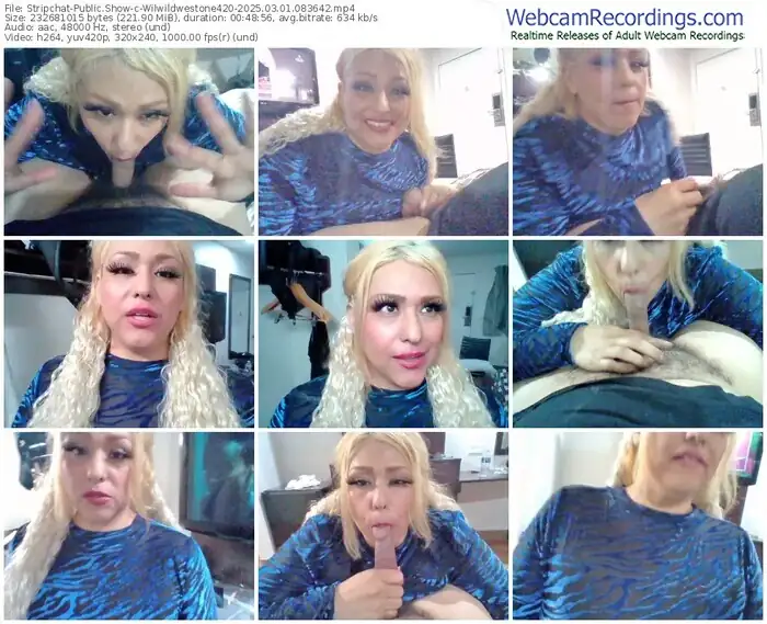 stripchat-wilwildwestone420-03-01-2025-08-36-42