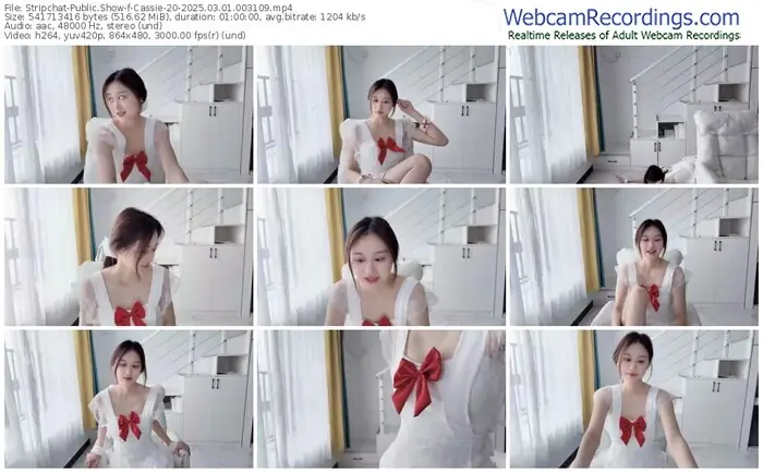 stripchat-cassie-20-03-01-2025-00-31-09
