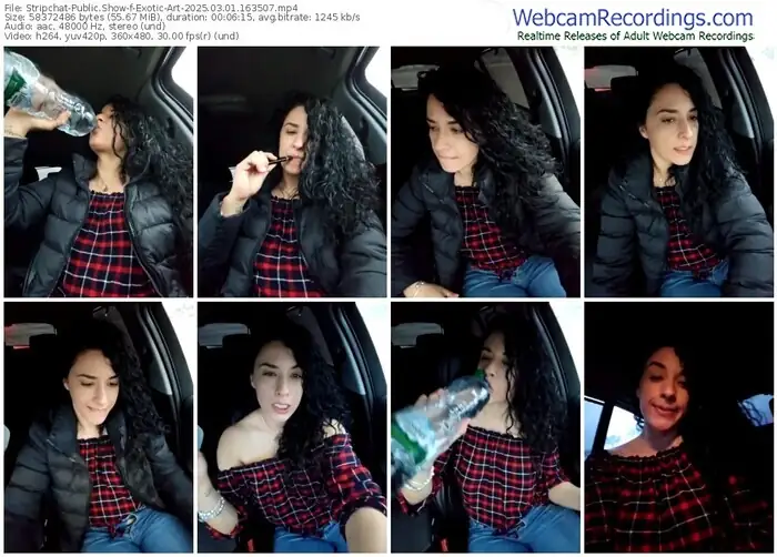 stripchat-exotic-art-03-01-2025-16-35-07