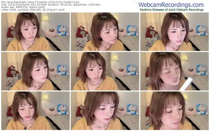 stripchat-onekitty-03-01-2025-05-38-07