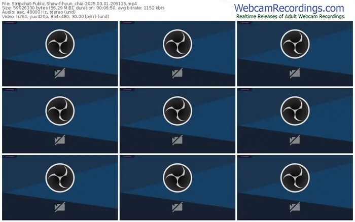 stripchat-hyun_chia-03-01-2025-20-51-15