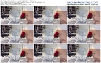 stripchat-vyizh--03-01-2025-13-56-53