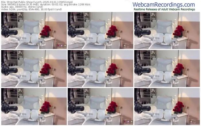 stripchat-vyizh--03-01-2025-13-56-53