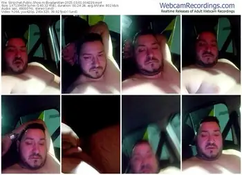 stripchat-bogdanalan-03-01-2025-00-42-29