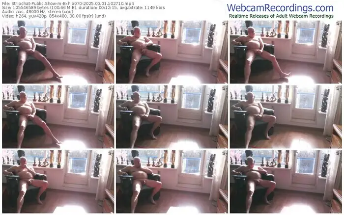 stripchat-exhib070-03-01-2025-10-27-10