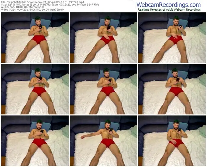 stripchat-project_king-03-01-2025-23-57-20
