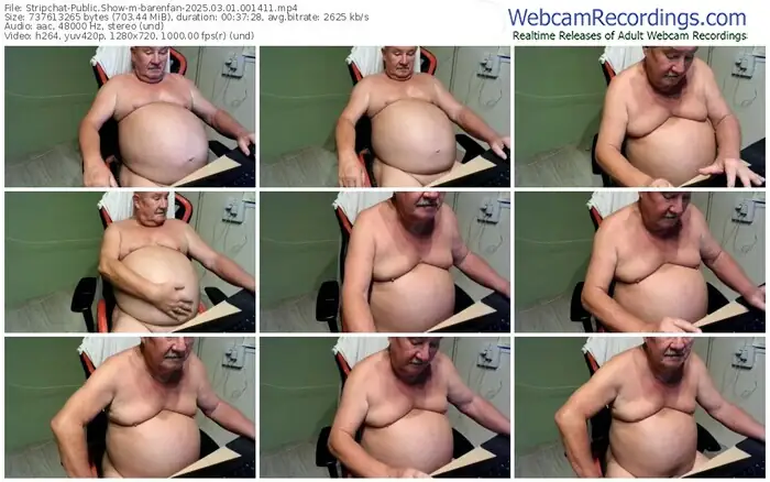 stripchat-barenfan-03-01-2025-00-14-11