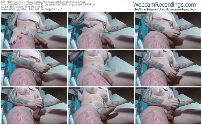 stripchat-karla_zambrano-03-01-2025-02-11-48