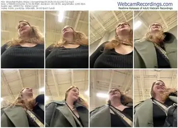 stripchat-gingersnap33-03-02-2025-19-17-12