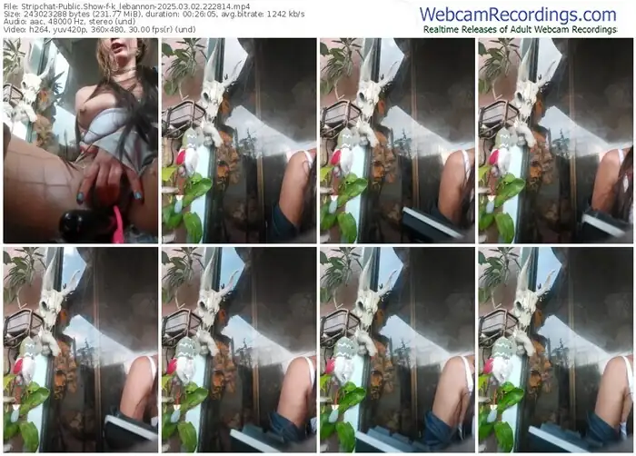 stripchat-k_lebannon-03-02-2025-22-28-14