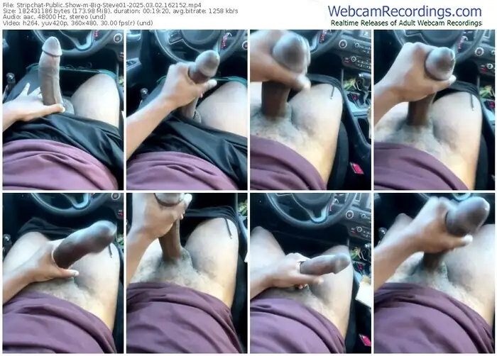 stripchat-big-steve01-03-02-2025-16-21-52