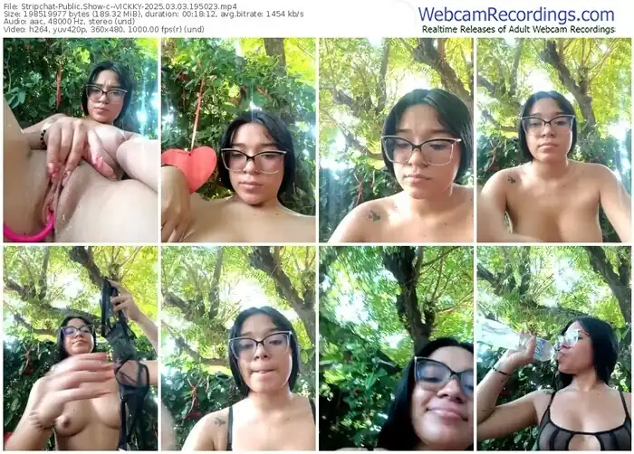 stripchat--vickky-03-03-2025-19-50-23