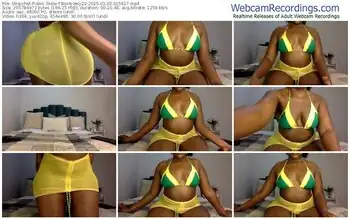 stripchat-bootylexy22-03-03-2025-01-56-17