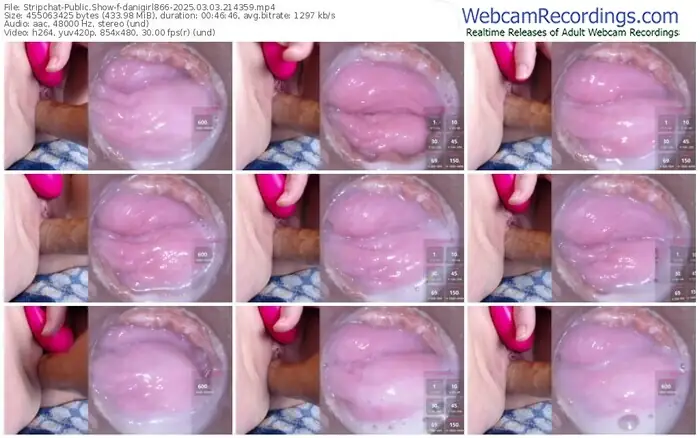 stripchat-danigirl866-03-03-2025-21-43-59