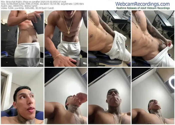 stripchat-sendfer-03-03-2025-05-31-47