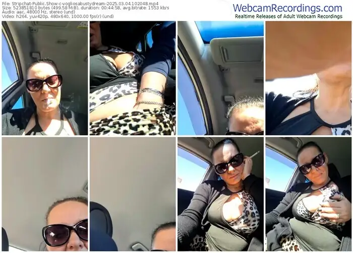 stripchat-vogliosabustydream-03-04-2025-10-20-48