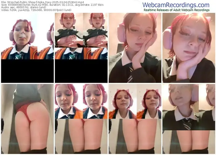 stripchat-noka_foxy-03-04-2025-05-36-42