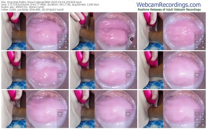 stripchat-danigirl866-03-04-2025-22-54-26