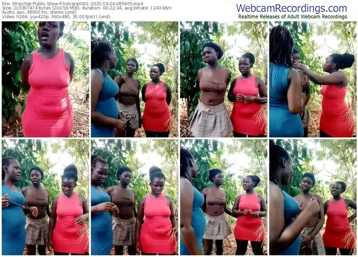 stripchat-holygrail001-03-04-2025-08-56-05