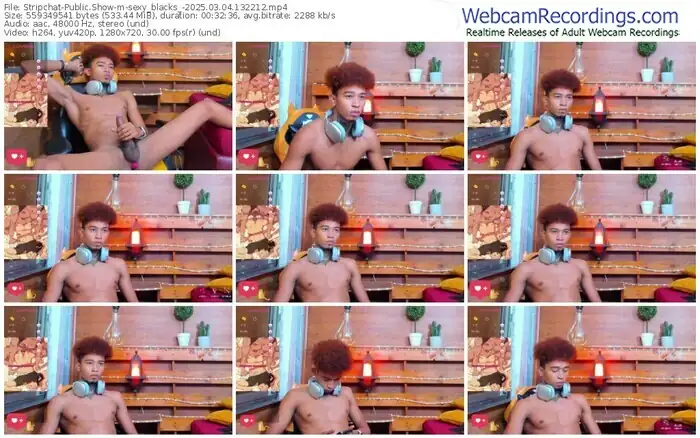 stripchat-sexy_blacks_-03-04-2025-13-22-12