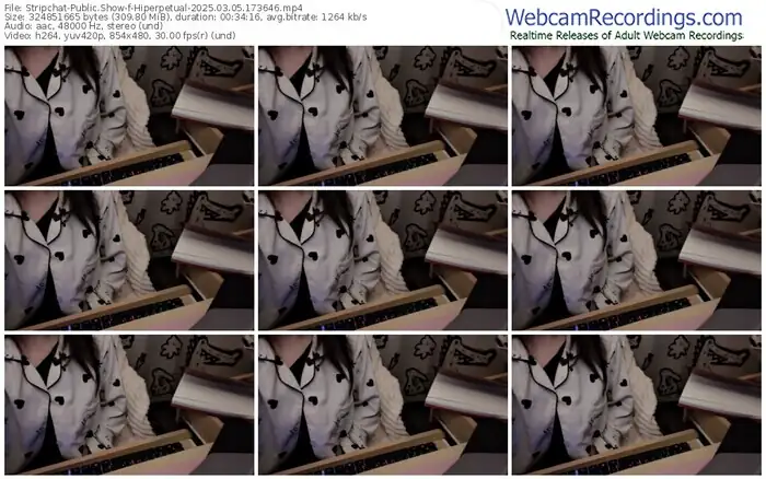 stripchat-hiperpetual-03-05-2025-17-36-46