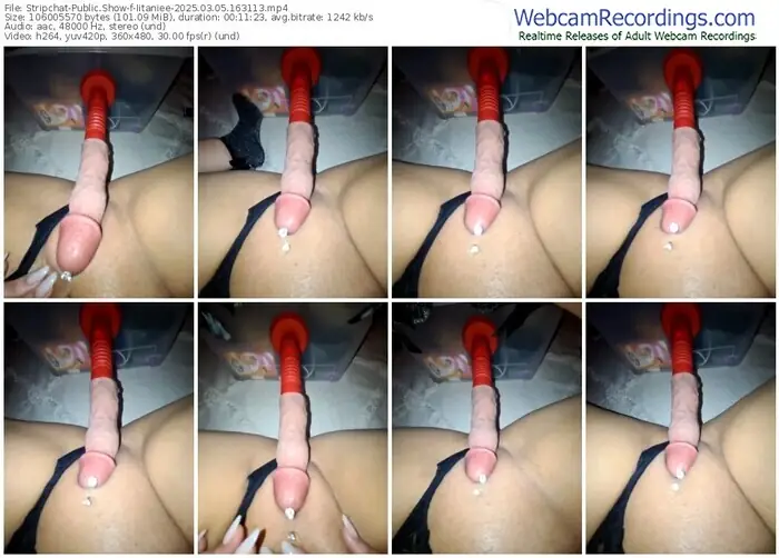 stripchat-iitaniee-03-05-2025-16-31-13