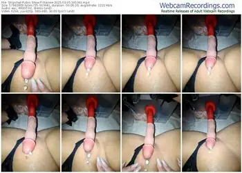 stripchat-iitaniee-03-05-2025-16-53-41